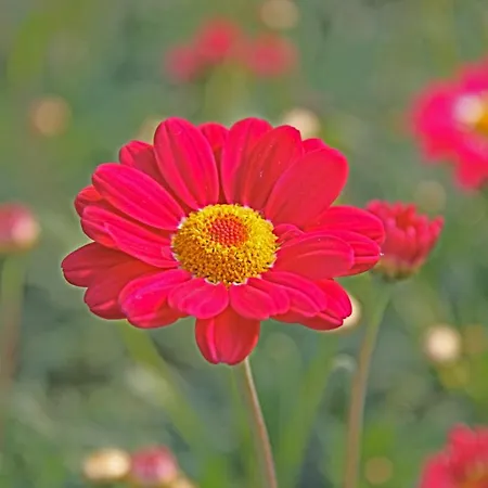 Hotelhuisje #a * 와멘후젠