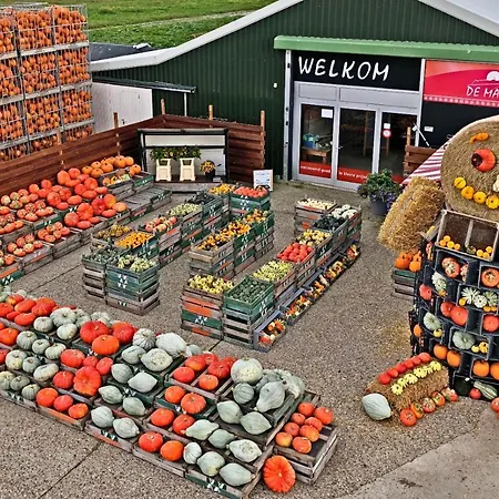 Hotelhuisje #a 와멘후젠