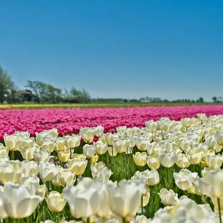 Hotelhuisje #a 펜션 *