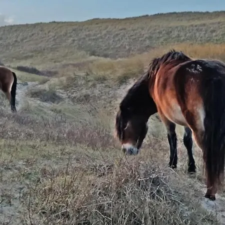 Hotelhuisje #a 펜션