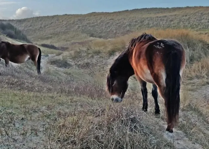 Hotelhuisje #a Hébergement de vacances